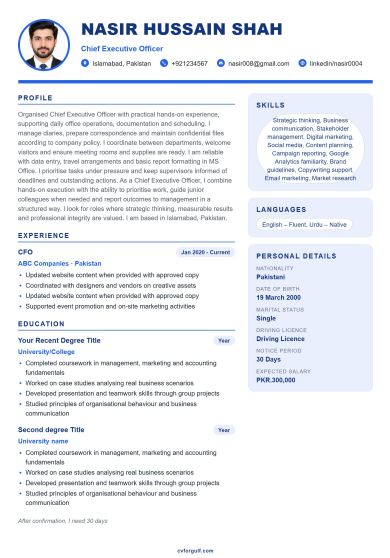 Modern Chips CV preview